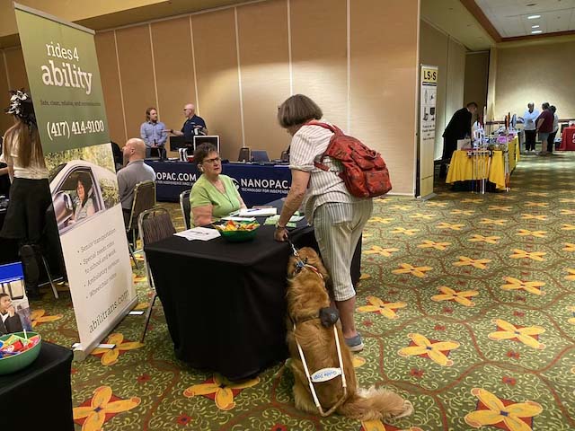 Rides 4 ability exhibit table